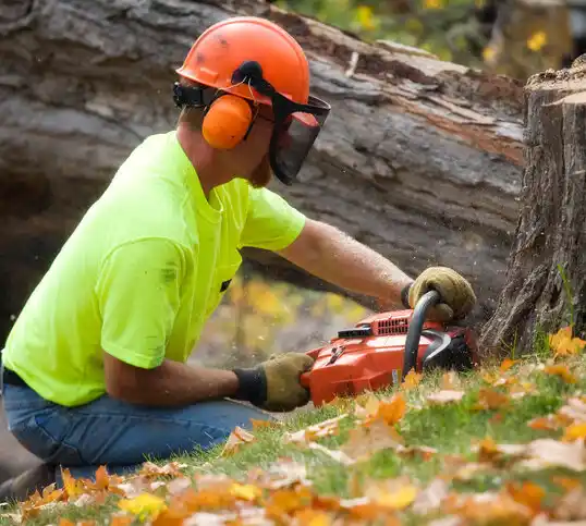 tree services West Carrollton